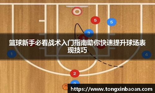 篮球新手必看战术入门指南助你快速提升球场表现技巧