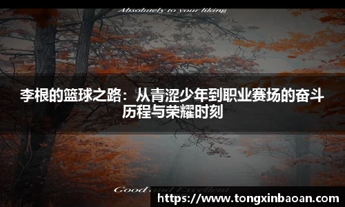 XK星空体育(中国)集团