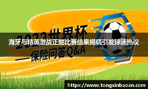 海牙与精英激战正酣比赛结果揭晓引发球迷热议